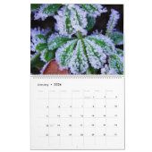 カレンダーの美しい自然 カレンダー (1月 2026)