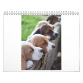 カレンダーの2019年のバセットハウンド カレンダー (カバー)