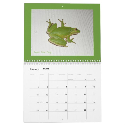 カレンダーは虫類と両生類#1 カレンダー (1月 2026)