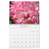 カレンダーナースは地球の天使のフローラ看護である カレンダー (1月 2027)