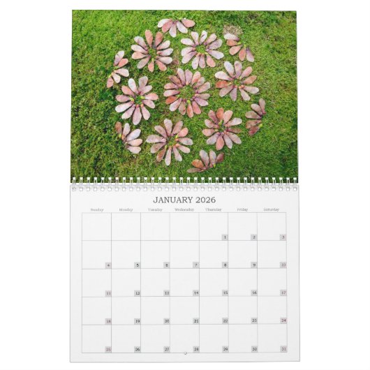 カレンダー林2024アートランドアート自然 カレンダー (1月 2026)