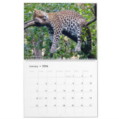 カレンダー猫科の動物 カレンダー (1月 2026)