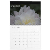 カレンダー花の写真のクローズアップ カレンダー (3月 2027)
