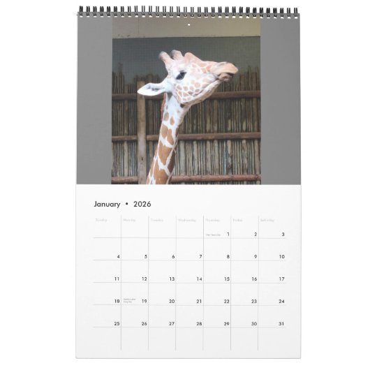 カレンダー (1月 2026)