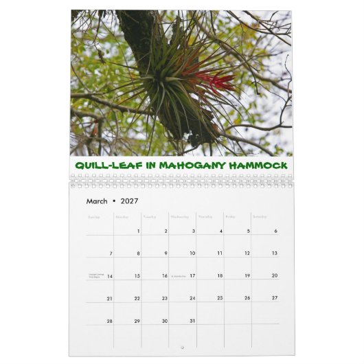 カレンダー (3月 2027)