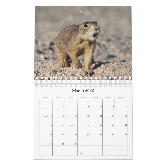 カレンダー (3月 2026)