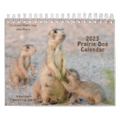 カレンダー (カバー)