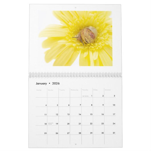 カレンダー (1月 2026)