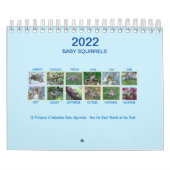 カレンダー (カバー)