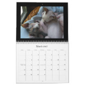 カレンダー (3月 2027)