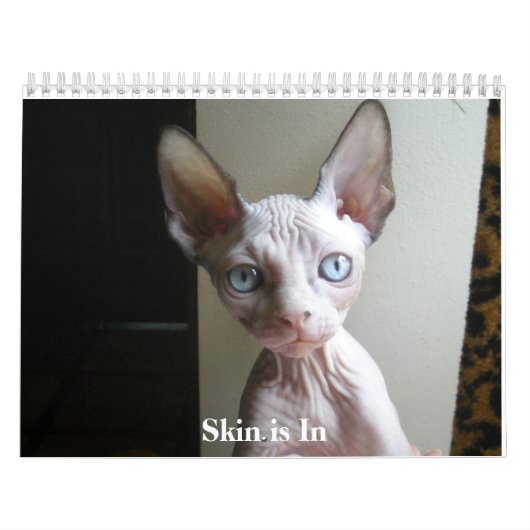 カレンダー (カバー)