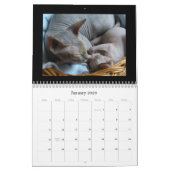 カレンダー (1月 2026)