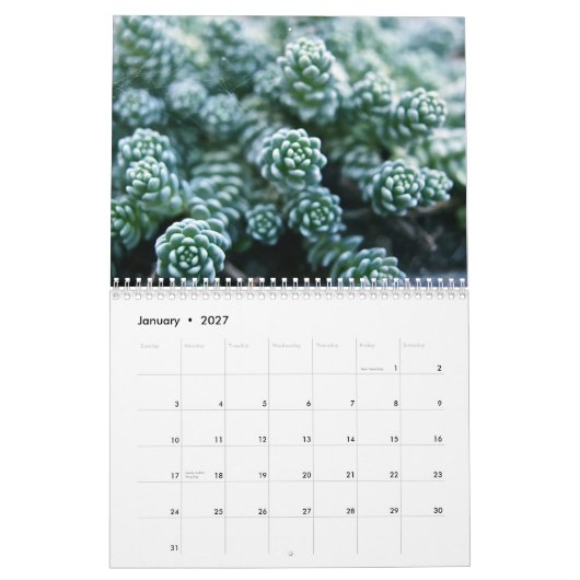 カレンダー (1月 2027)
