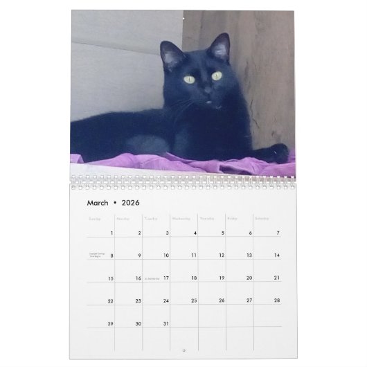 カレンダー (3月 2026)