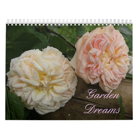 カレンダー18か月 カレンダー (カバー)