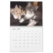 カレンダー2016休日 – 猫 カレンダー (3月 2027)