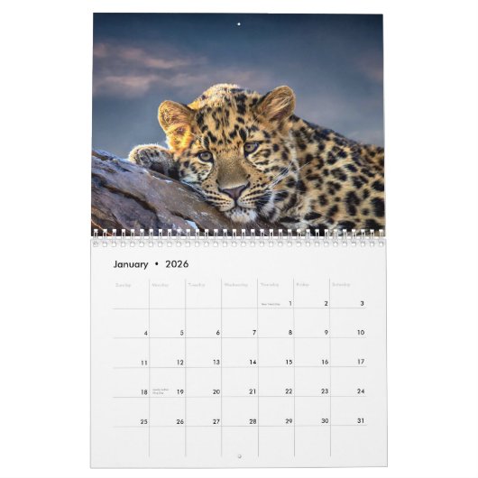 カレンダー2021 カレンダー (1月 2026)