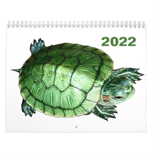 カレンダー2022 Turtle カレンダー (カバー)
