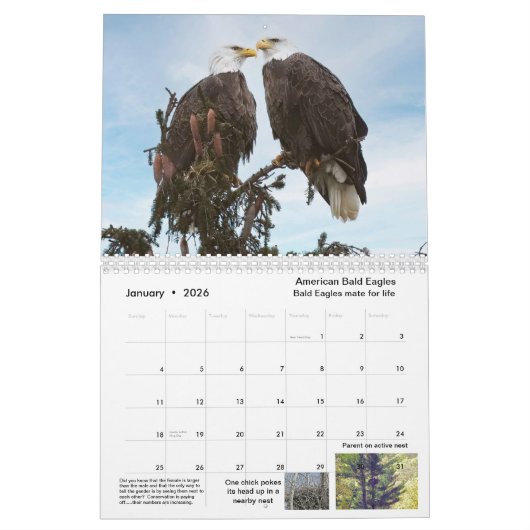 カレンダー2023野生動物と自然 カレンダー (1月 2026)