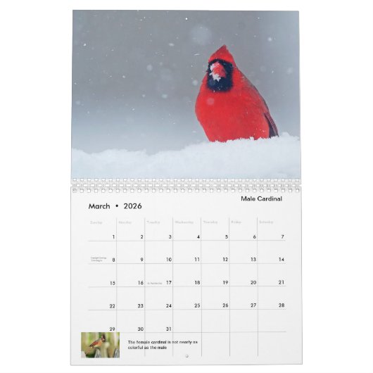 カレンダー2023野生動物と自然 カレンダー (3月 2026)