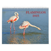 カレンダー2023 Flamingos カレンダー (カバー)