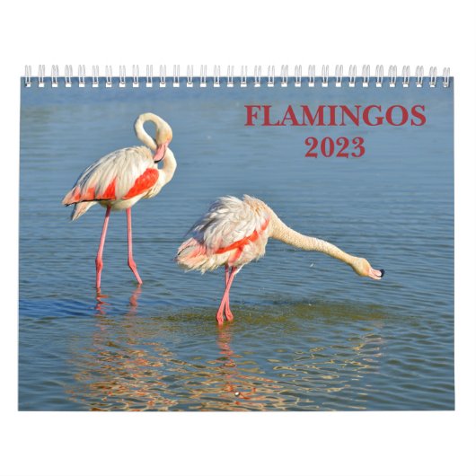 カレンダー2023 Flamingos カレンダー (カバー)