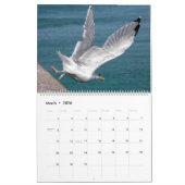 カレンダー2023 Gulls and Seagulls カレンダー (3月 2026)