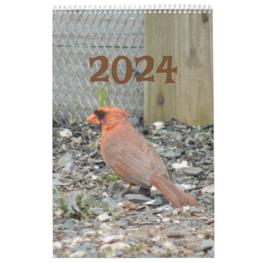 カレンダー2024裏庭の鳥 カレンダー (カバー)