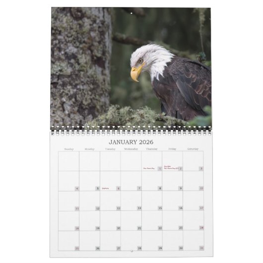 カレンダー2024 Final カレンダー (1月 2026)