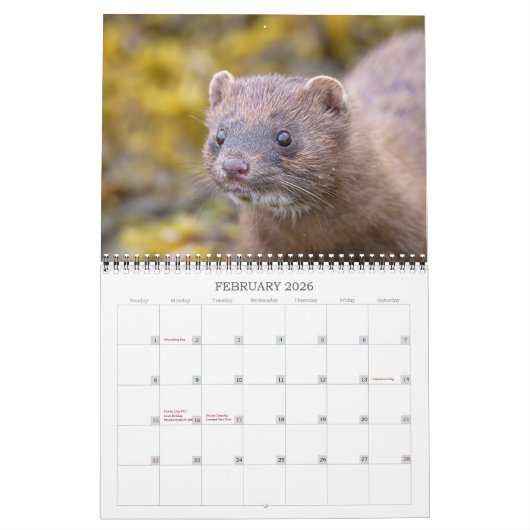 カレンダー2024 Final カレンダー (2月 2026)