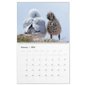 カレンダー20xx – ニュージーランド カレンダー (2月 2026)