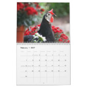 カレンダー3: 鶏のひよこの群 カレンダー (2月 2027)