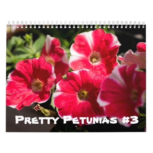 カレンダー – かわいらし Petunias (カバー)