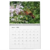 カレンダー – その他の蝶と蛾 (3月 2026)