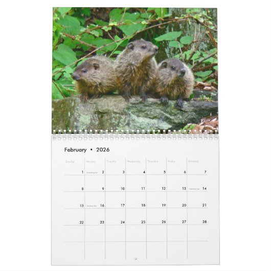 カレンダー – ほとんど茶色 (2月 2026)