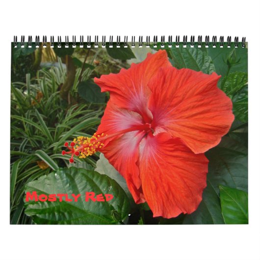 カレンダー – ほとんど赤 (カバー)