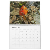 カレンダー – もっと素晴らしいキノコ#4 (2月 2027)