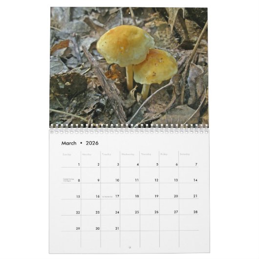 カレンダー – より素晴らしいキノコ (3月 2026)