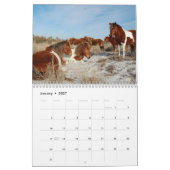 カレンダー、アサーテハーグ島の野生の馬 カレンダー (1月 2027)