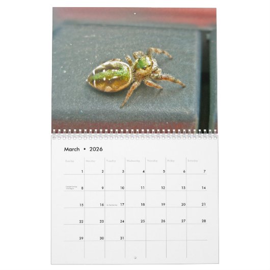 カレンダー – イーク!クモだ! (3月 2026)