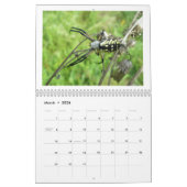 カレンダー – イーク！クモ#3 (3月 2026)