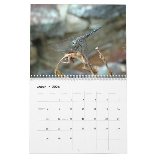 カレンダー-トンボ類とダムセルハエ類 カレンダー (3月 2026)
