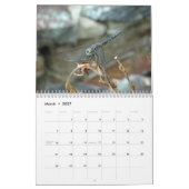 カレンダー-トンボ類とダムセルハエ類 カレンダー (3月 2027)