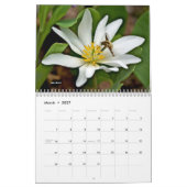 カレンダー～バグが大好き？ カレンダー (3月 2027)