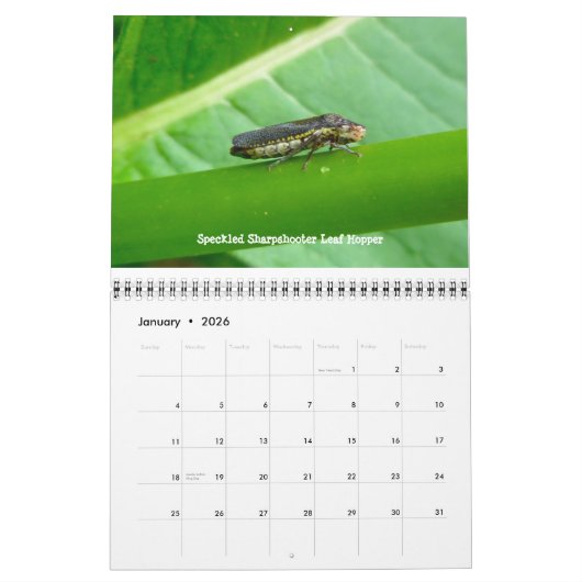 カレンダー – バグを無視 (1月 2026)