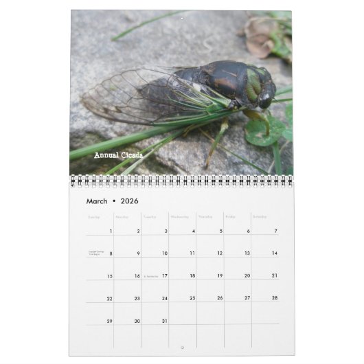 カレンダー – バグを無視 (3月 2026)