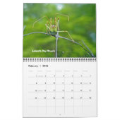 カレンダー – バグを無視 (2月 2026)