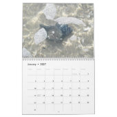 カレンダー - ビーチの宝物 (1月 2027)