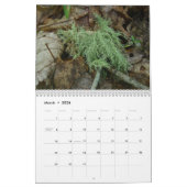 カレンダー-フォレフレンドリースト カレンダー (3月 2026)