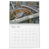 カレンダー-フォレフレンドリースト カレンダー (2月 2026)